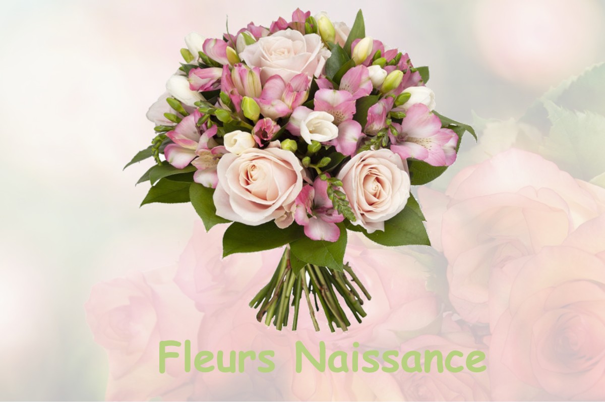 fleurs naissance SELLES-SUR-NAHON