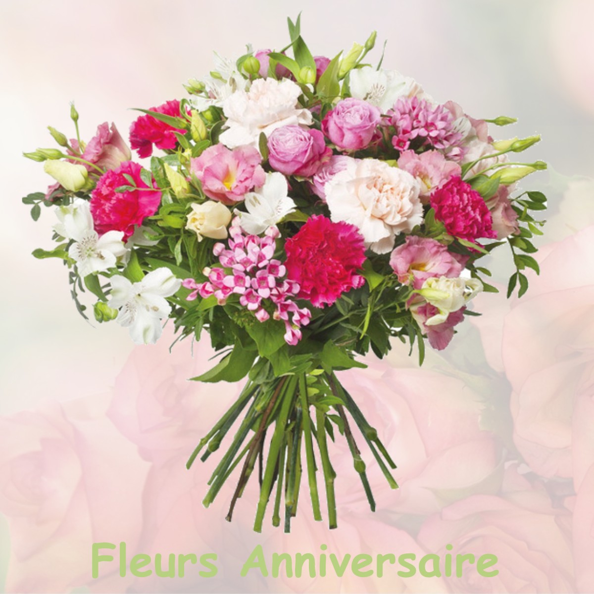 fleurs anniversaire SELLES-SUR-NAHON